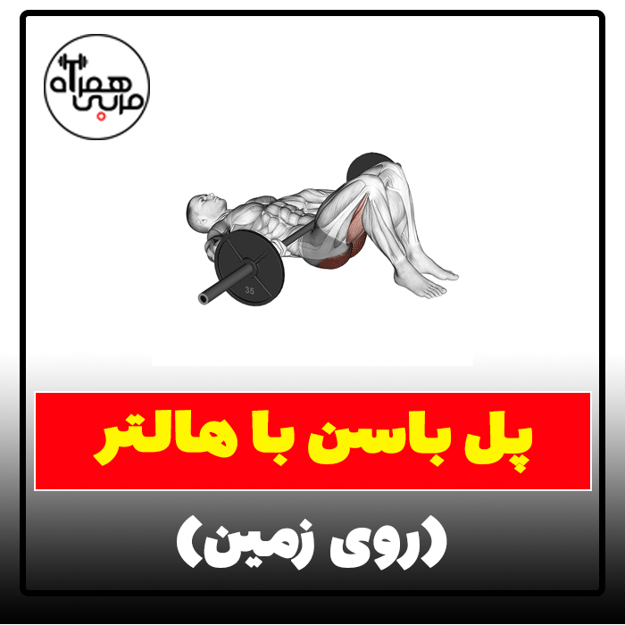 پل باسن با هالتر- آموزش اجرای صحیح حرکت- همراه آموزش ویدیویی