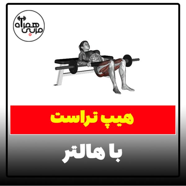هیپ تراست با هالتر- آموزش اجرای صحیح - ویدیو آموزشی